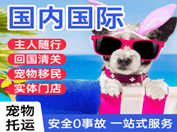 深圳航空邮寄国际宠物托运 【国
